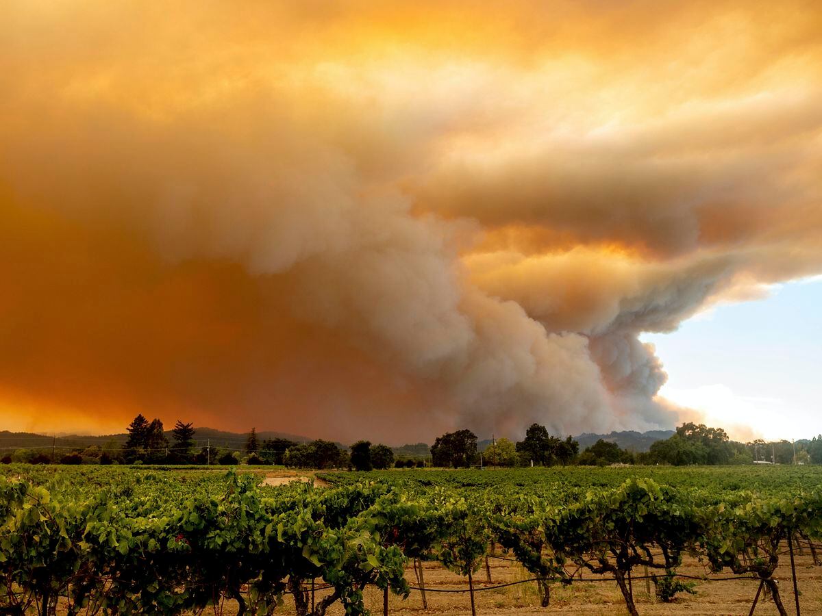 California Wildfires Some Of Largest In State History Shropshire Star