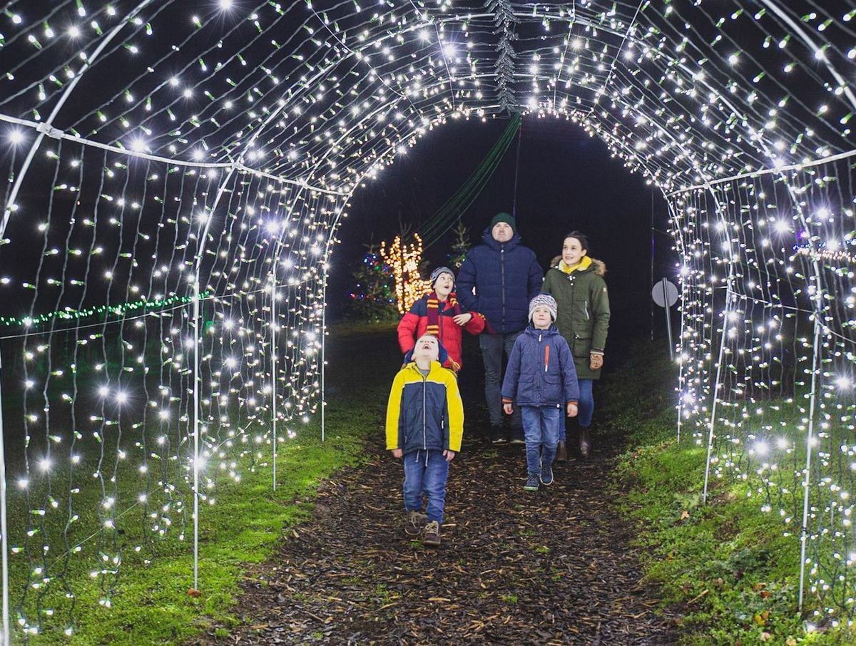 The festive trail bringing the magic of Christmas to Shropshire