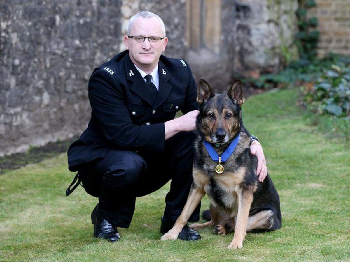 Hero police dog watches in the Commons as MPs back Finn’s Law ...