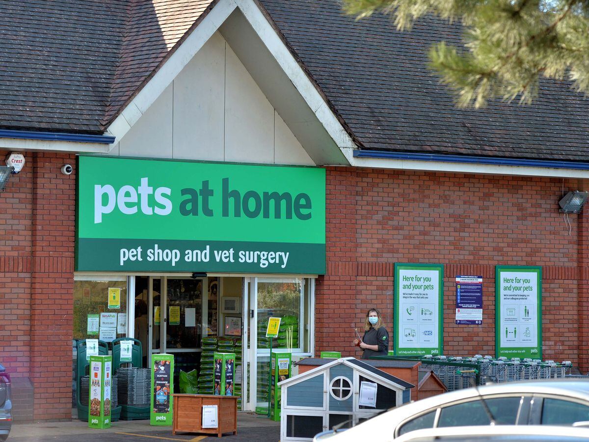 Pets at deals home vets westwood