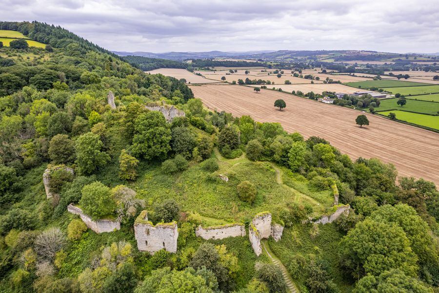 Your chance to lord it as historic 956-year-old Wigmore Castle and ...