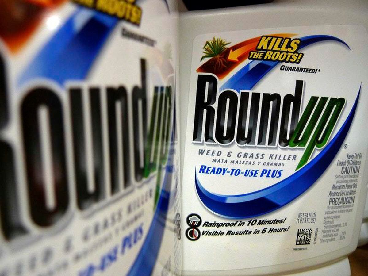 Jury Backs Man Who Claims Roundup Weed Killer Caused Cancer Shropshire Star