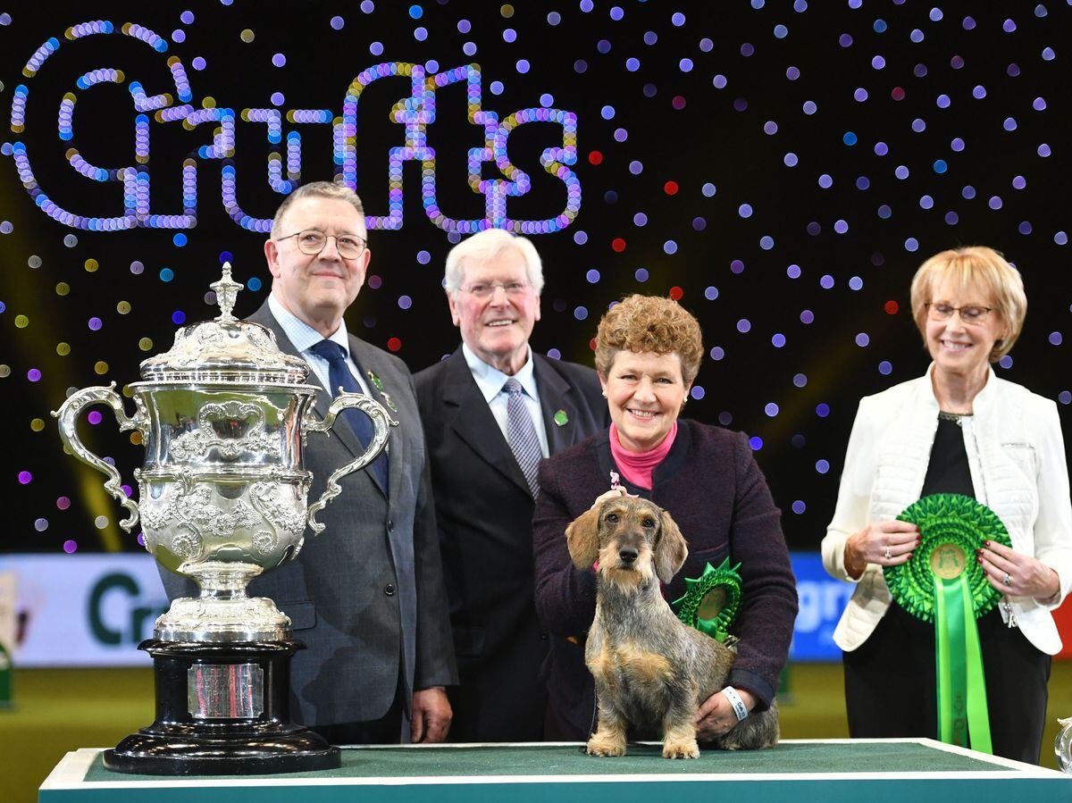 Crufts 2020 winner celebrates Best in Show win with victory lap toilet