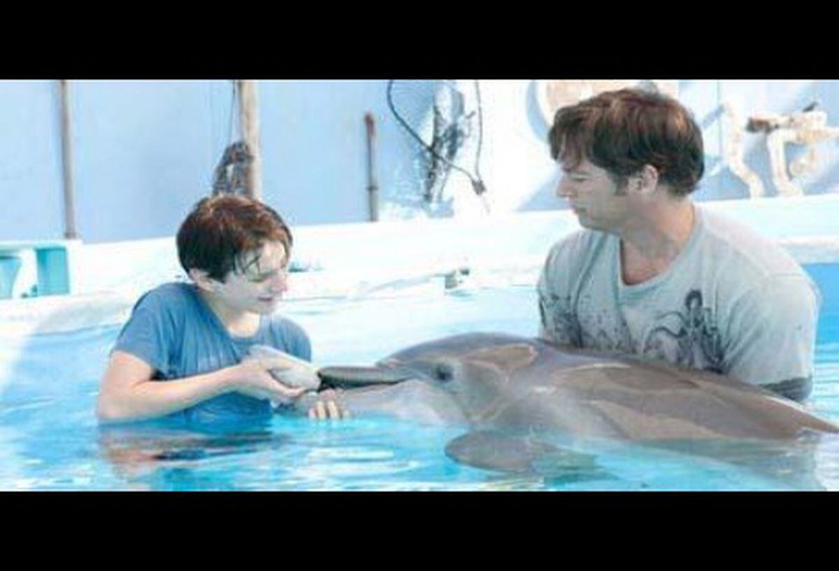 Dolphin Tale 3d Shropshire Star