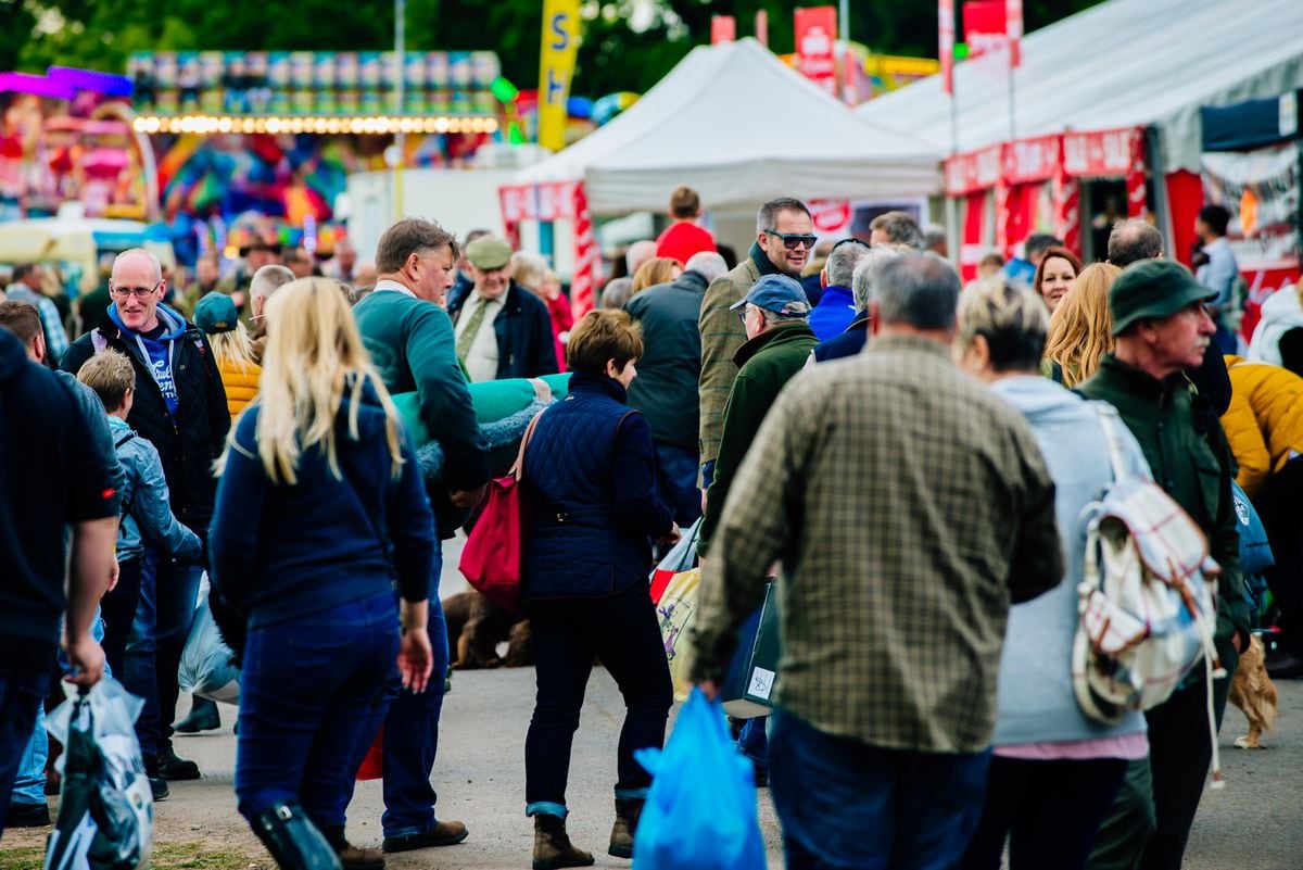 Thousands flock to the Midland Game Fair at Weston Park with pictures