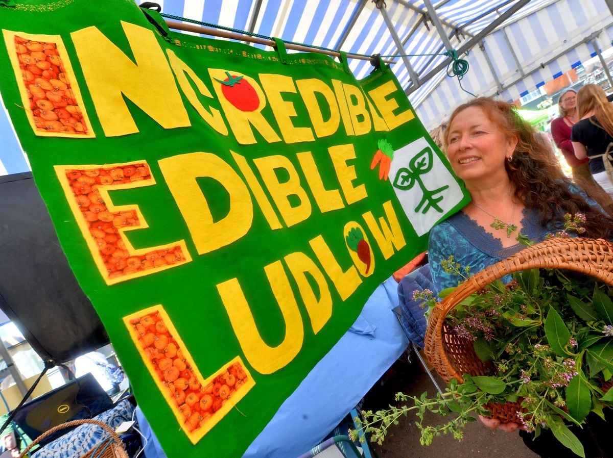 Ludlow residents get back to nature for return of green festival