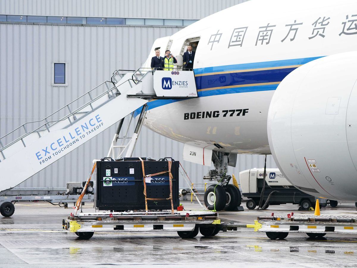 Giant pandas flying back to China after 12 years in Edinburgh