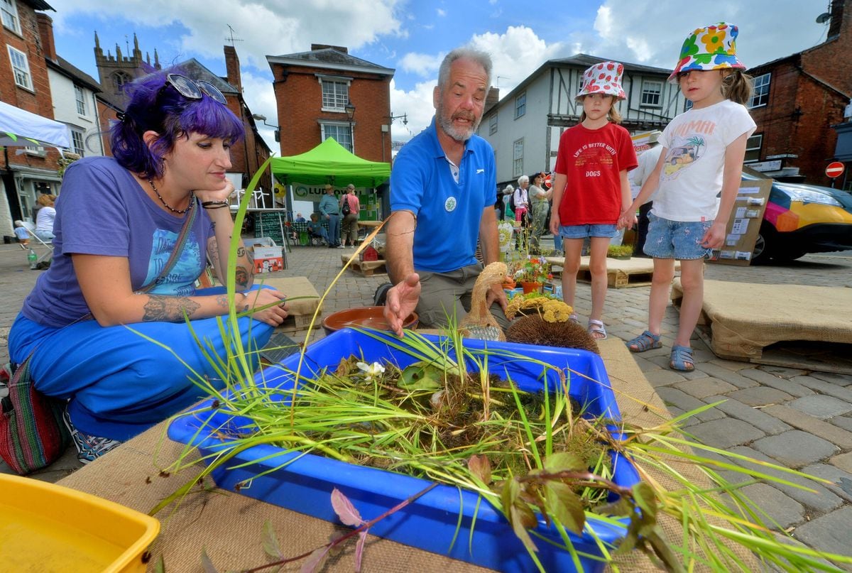 Ludlow residents get back to nature for return of green festival