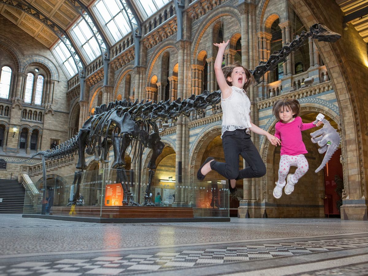 dippy natural history museum