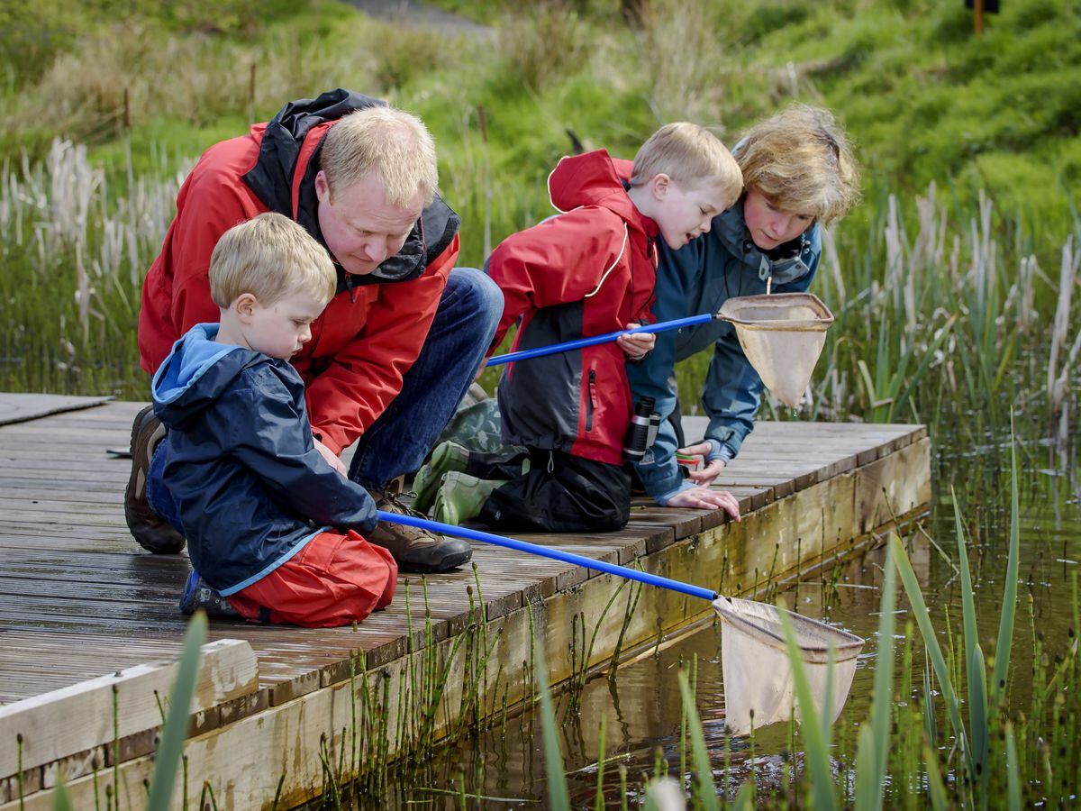 family-fun-at-rspb-reserves-shropshire-star