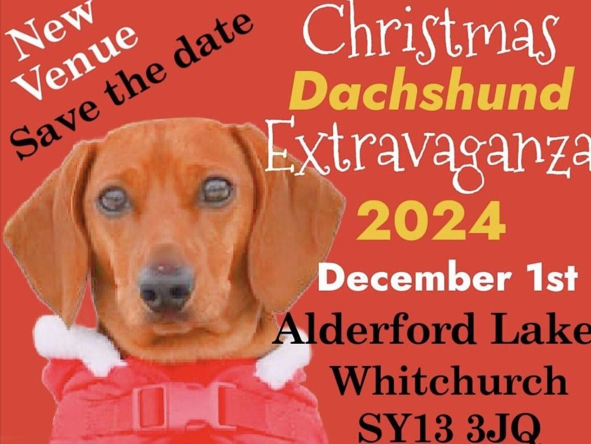 Save the date: Dachshund extravaganza coming to Whitchurch