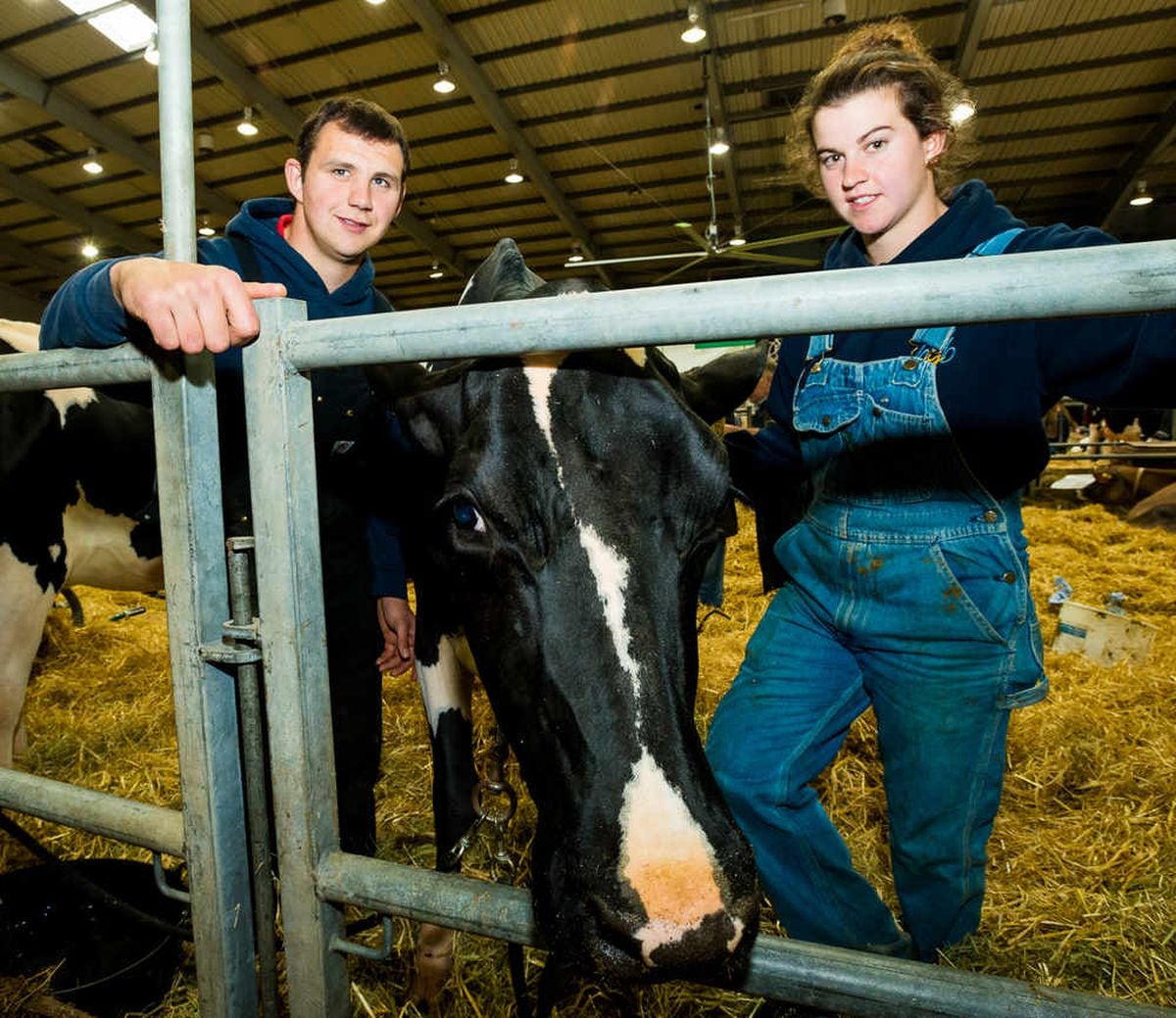 Picture Special Crowds Turn Out For Telford Dairy Show Shropshire Star