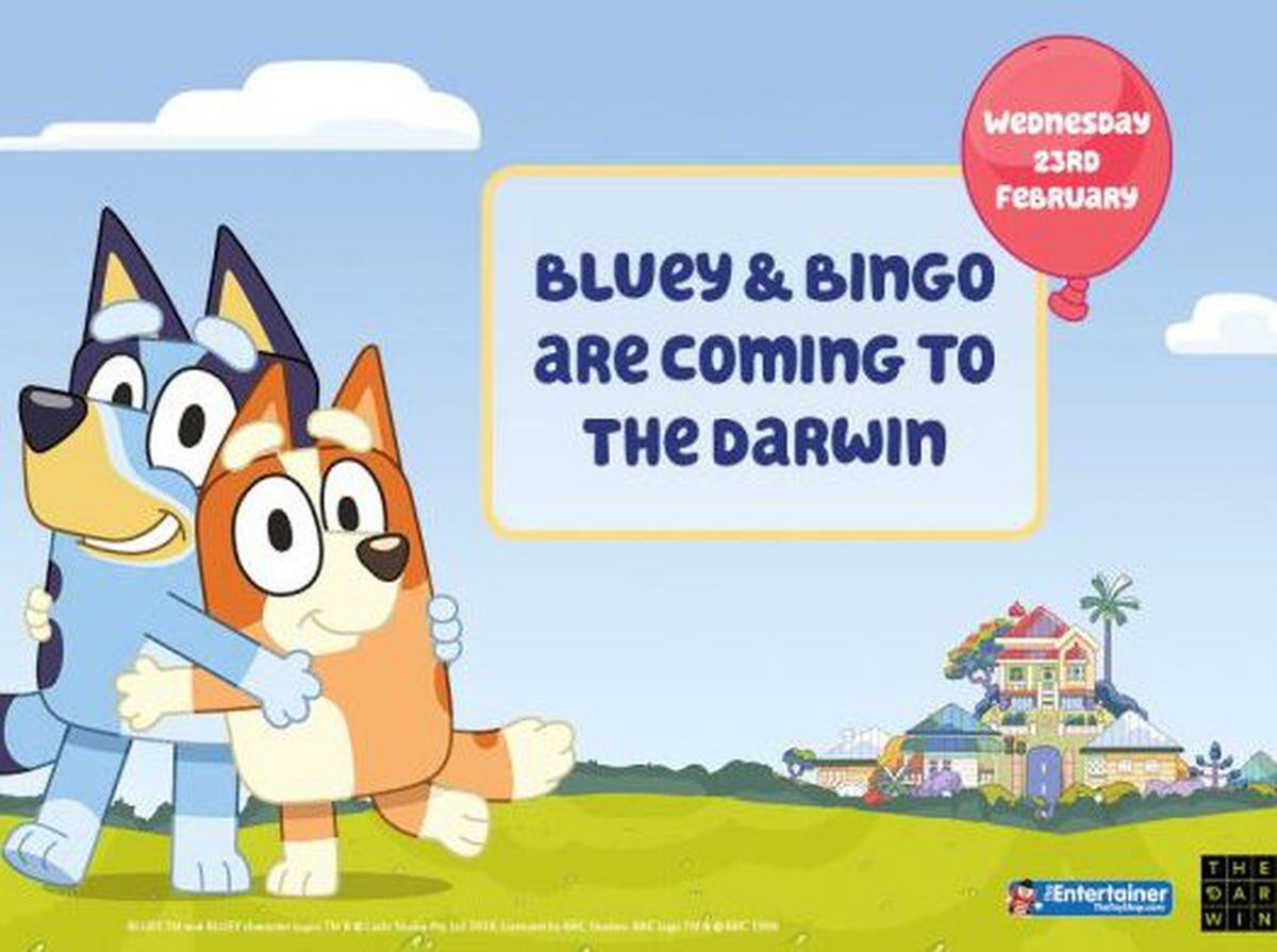 TV pups Bluey and Bingo coming to Shrewsbury this month