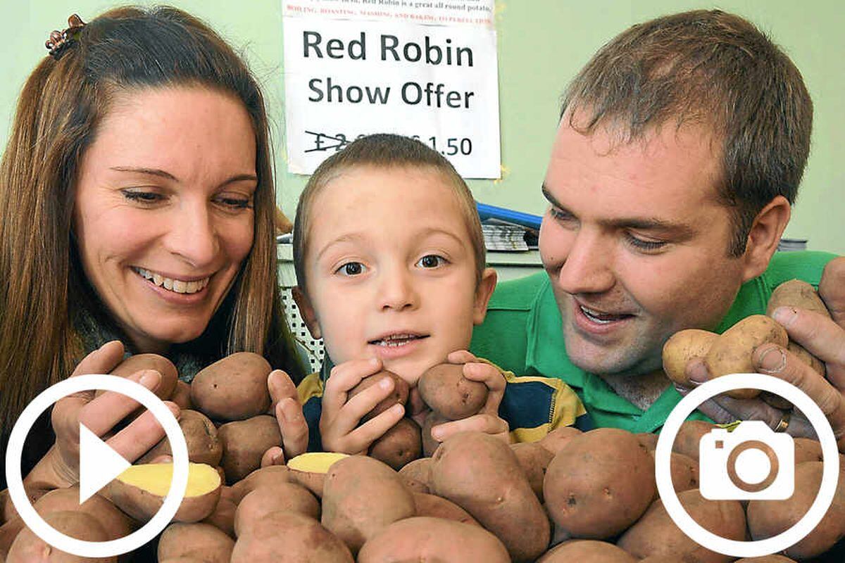 Organisers pleased by the wide appeal of Shropshire's annual potato day