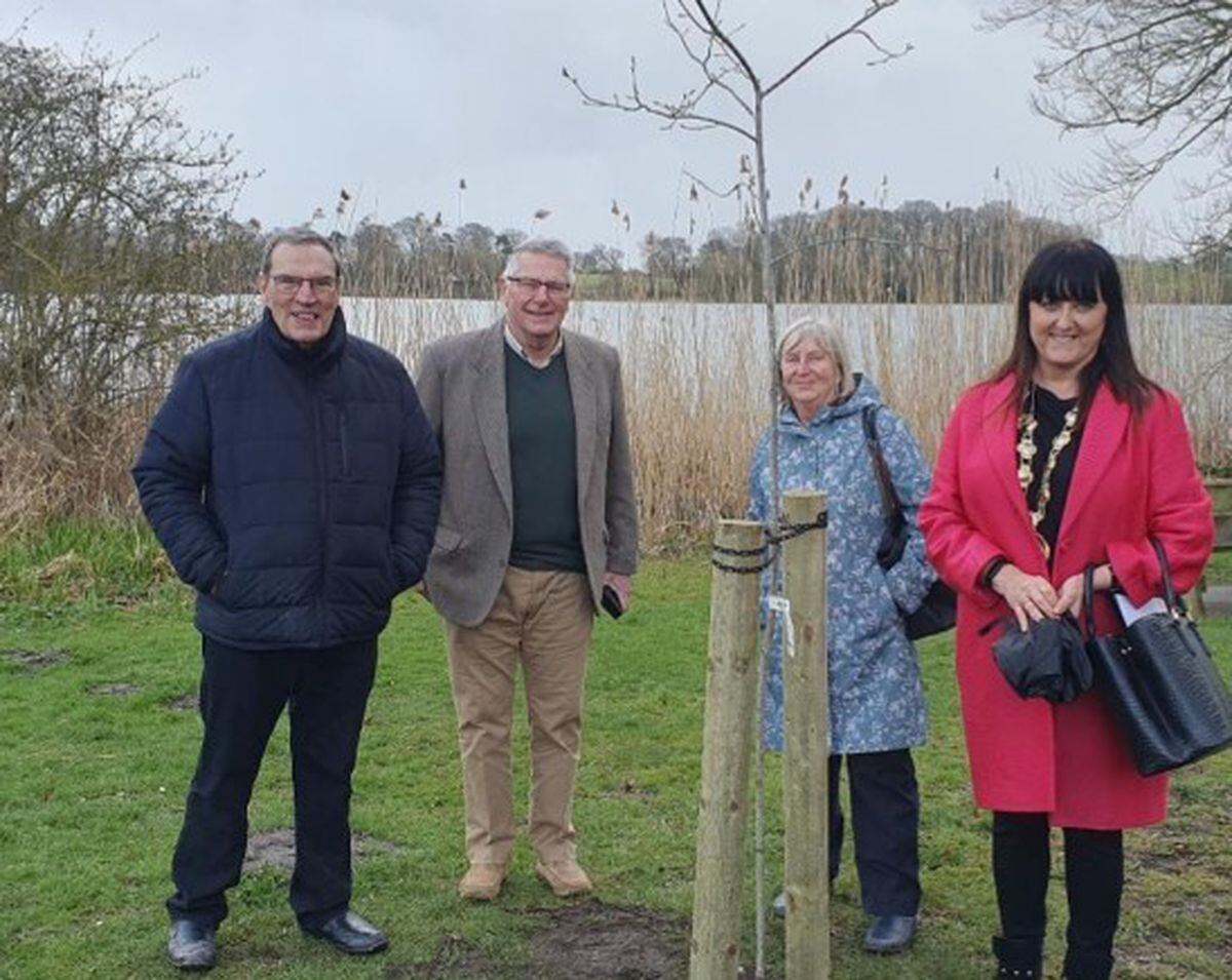 Replacement tree for Princess Diana planted in Ellemere mereside ...