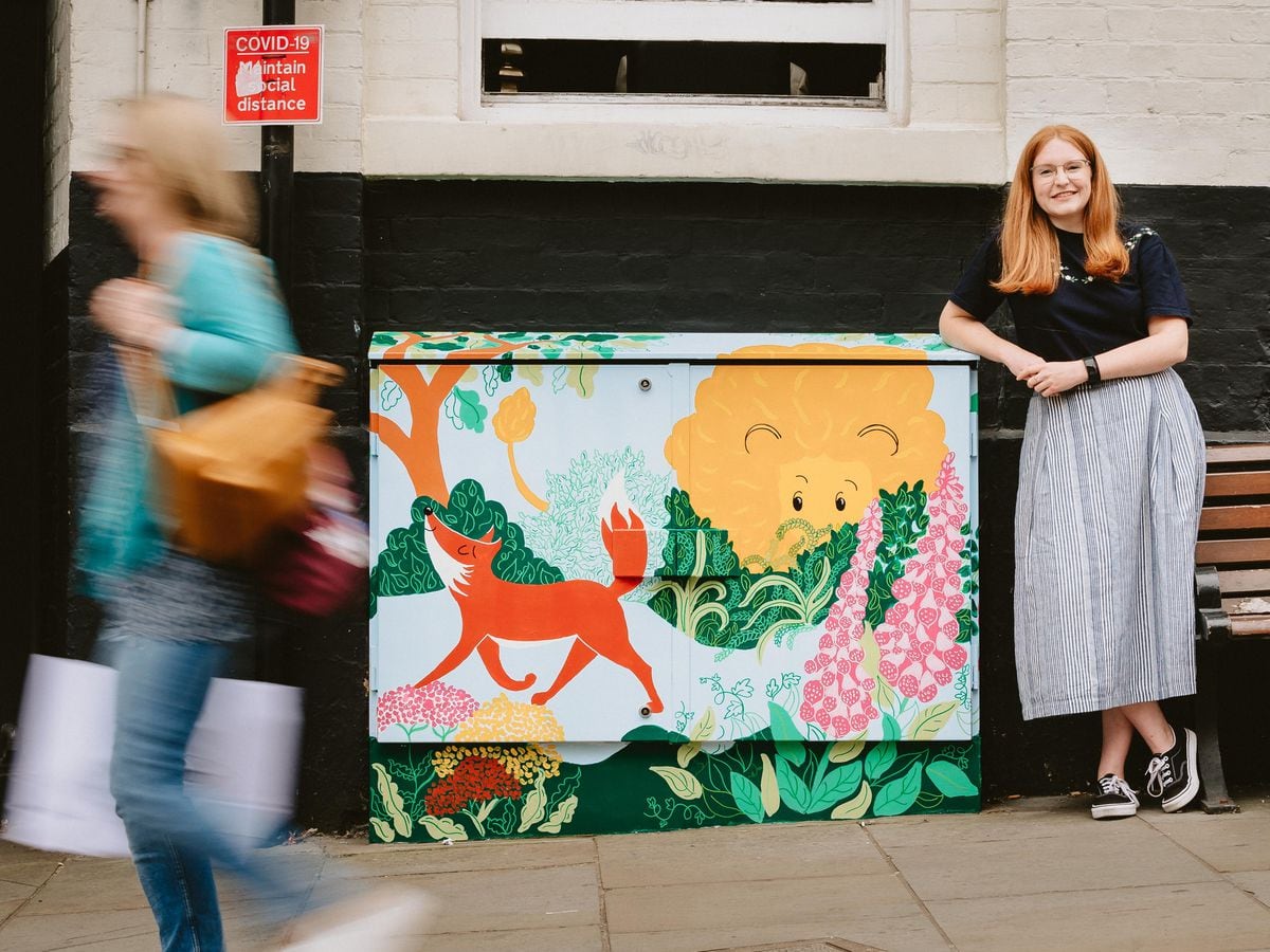 Shrewsbury BID commissioned artists, such as Hannah Chumbley, to paint electrical cable boxes in the town.