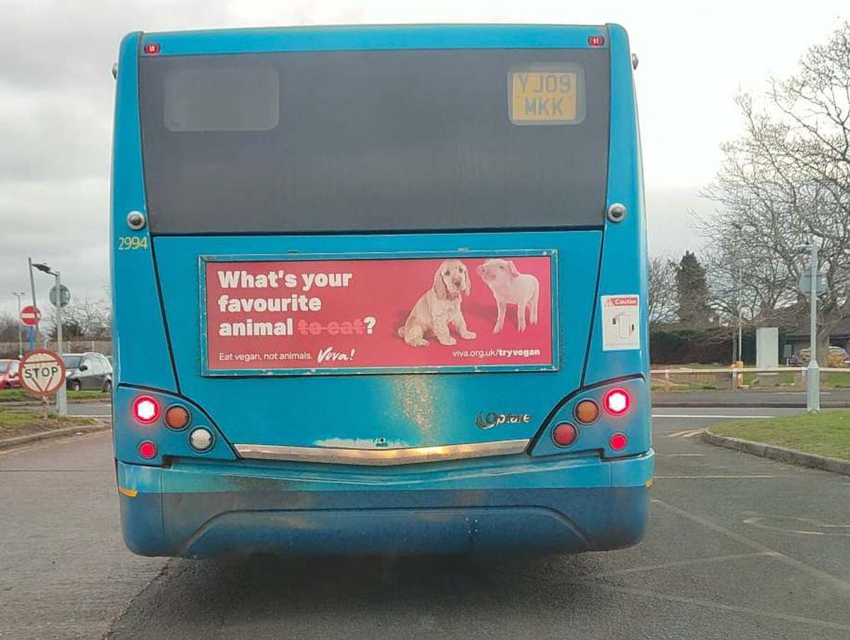 Vegans Are Back With Adverts On The Back Of Shropshire Buses Shropshire Star 0375