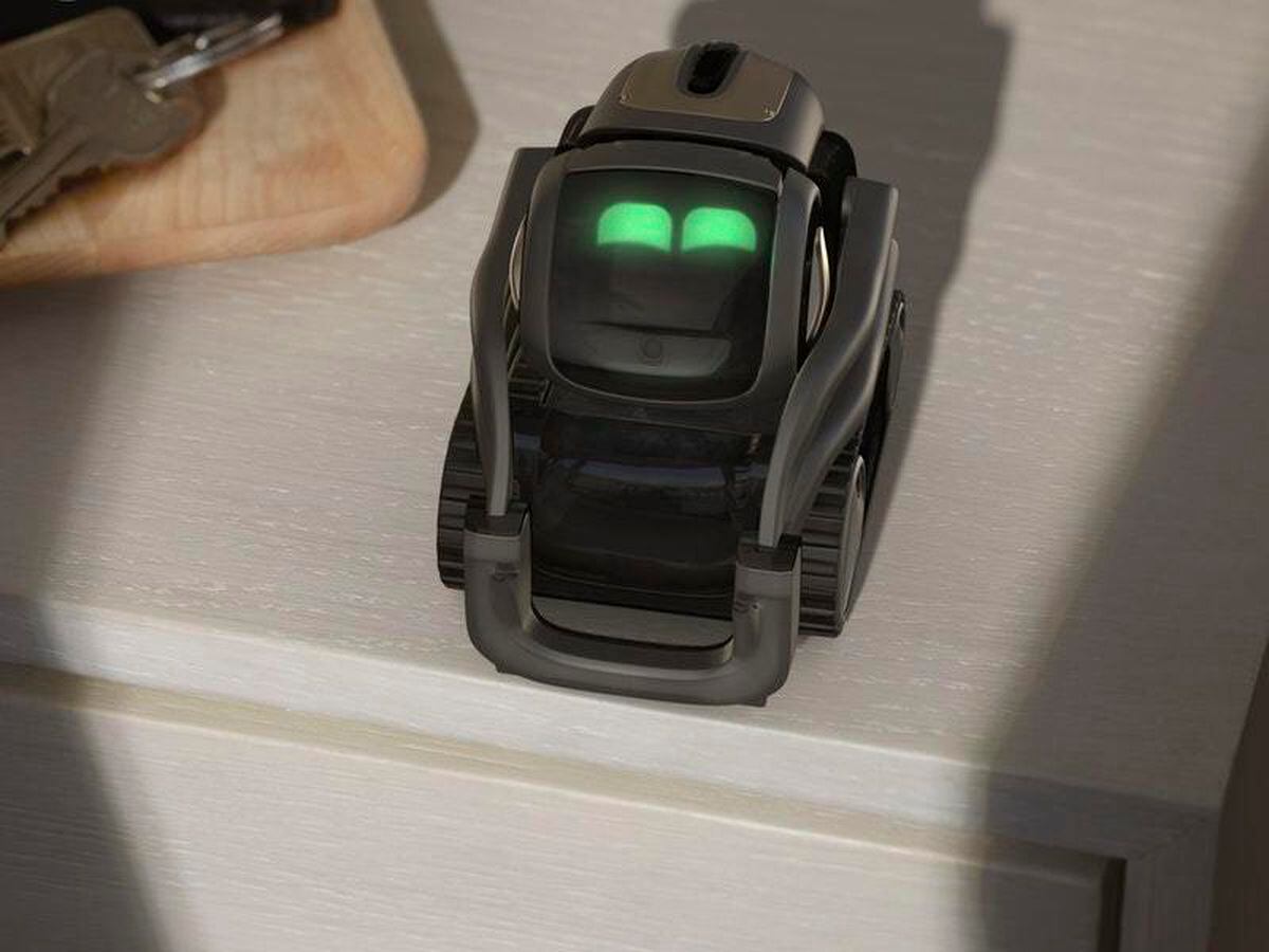 anki robot website