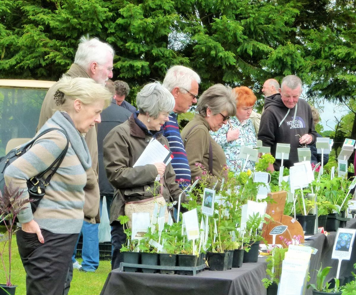 Double delight for gardeners as plant shows come to region | Shropshire ...