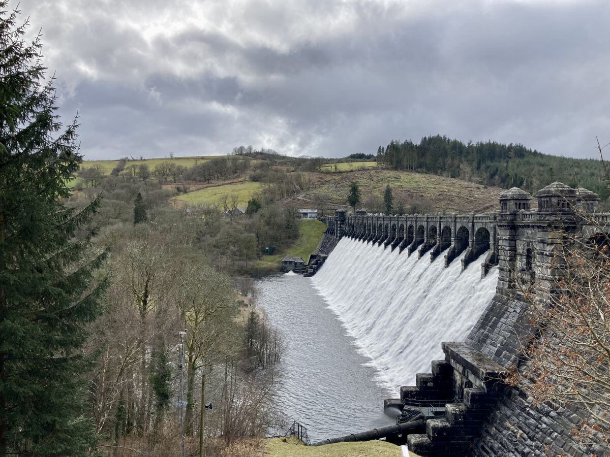 From famine to feast as a wet March fills up our reservoirs ...