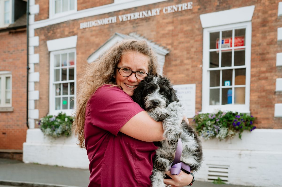 Bridgnorth vets voted best in Shropshire | Shropshire Star