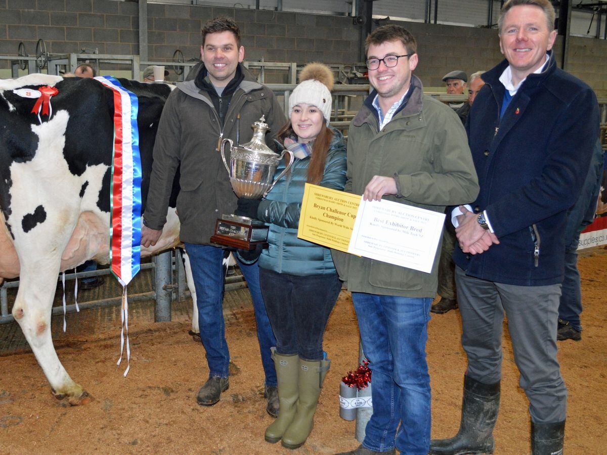 Huge turnout for Christmas Dairy Show and Sale in Shrewsbury | Shropshire  Star