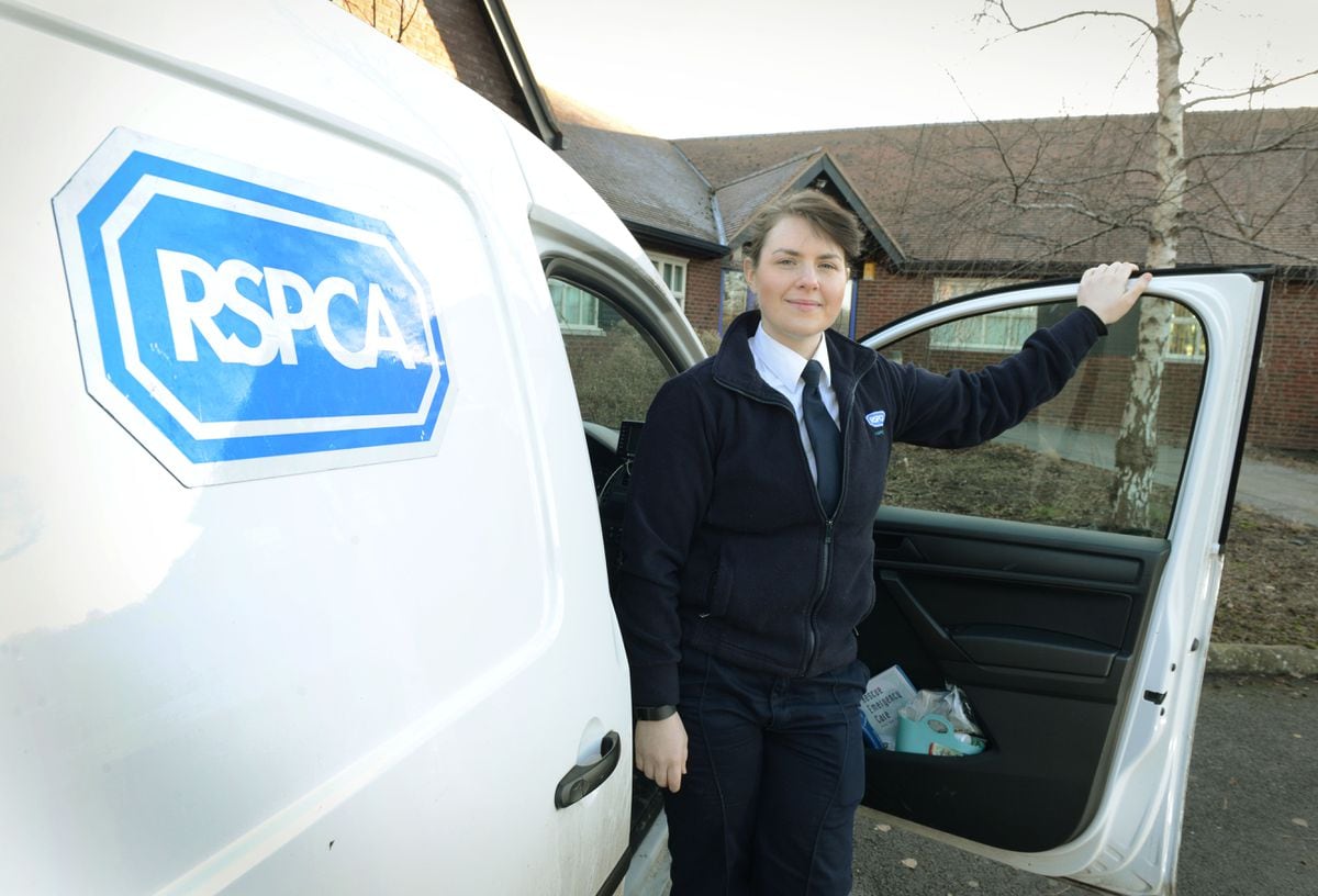 Pet rescue! Kate Parker of the RSPCA tells Weekend about her job ...