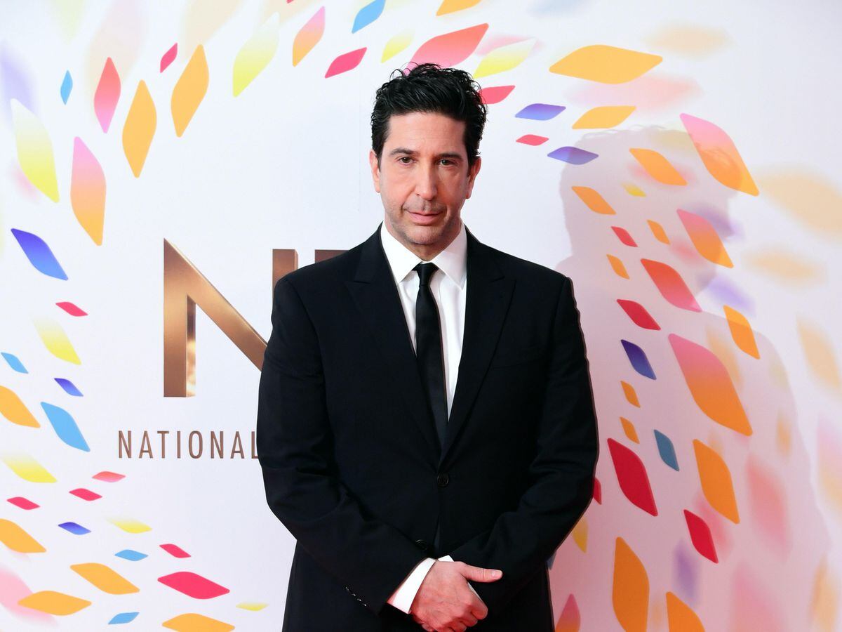 David Schwimmer provides an update on Friends reunion show ...