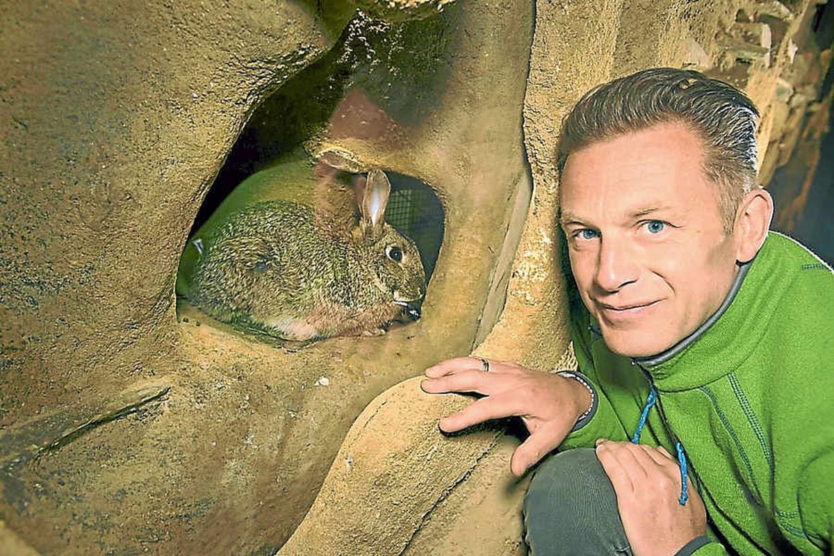 t rex chris packham