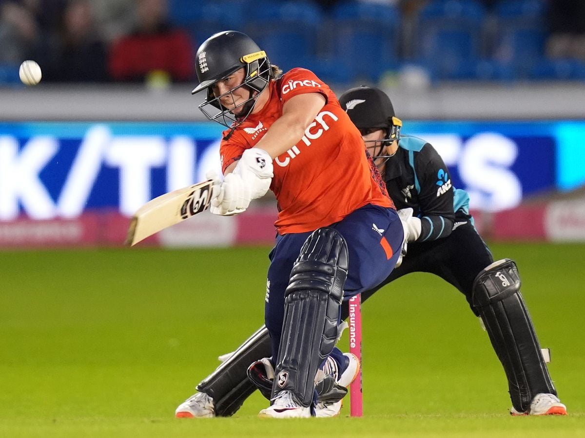 England hit New Zealand for six in rain-affected T20 match at Hove