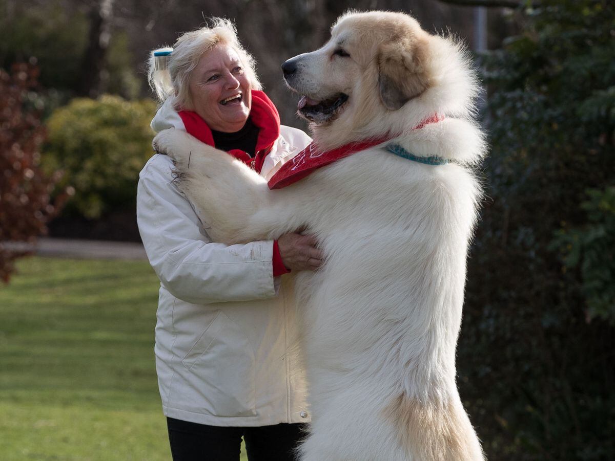 Crufts 2019 hot sale day 2