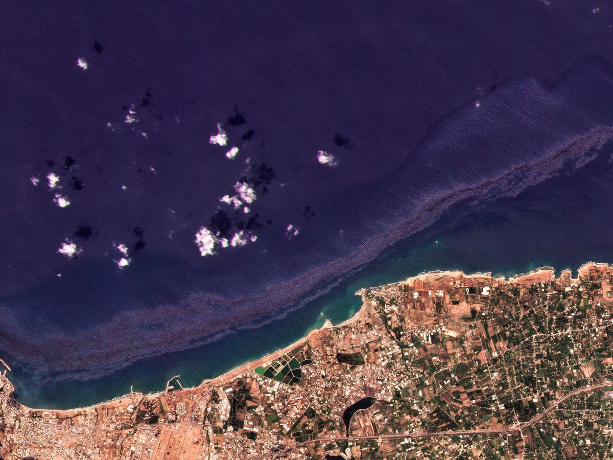 средиземное море в сирии