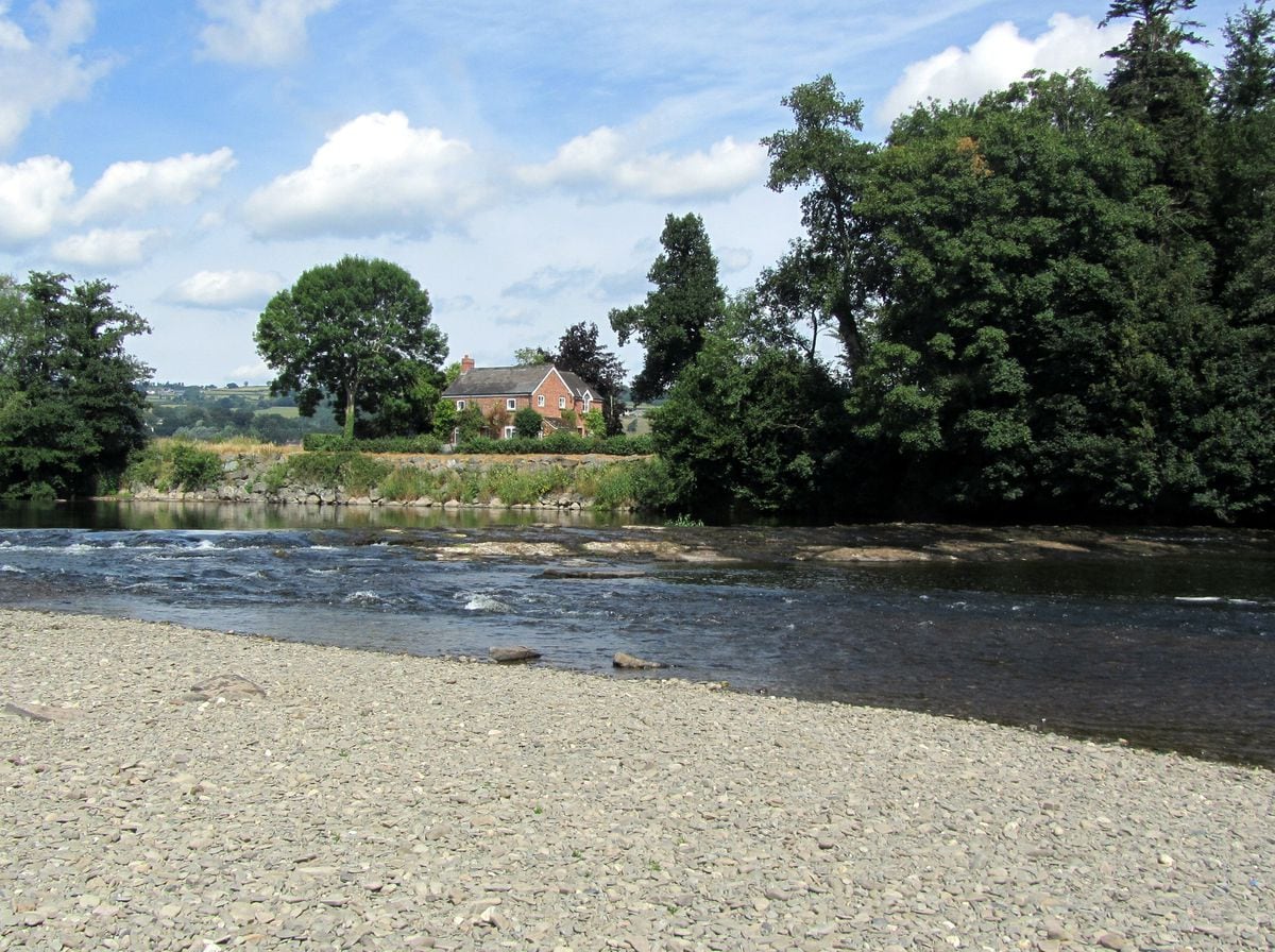 Legal Firm Looking At River Wye Pollution Claim Against Poultry Farm   BX5CXHQ2ZFFNZILYJ2JGRYULL4 