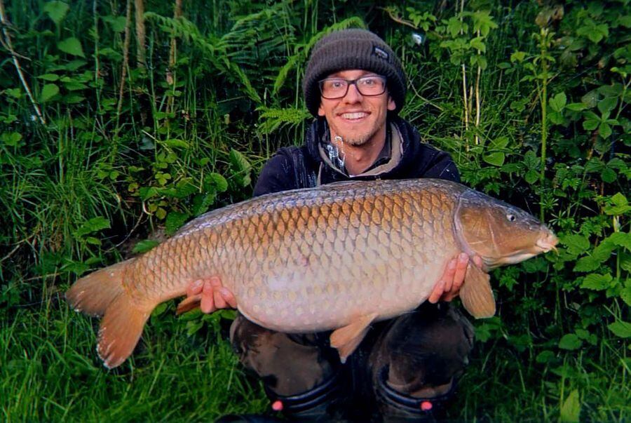 Rescue effort to save prized carp from being wiped out at Shropshire ...