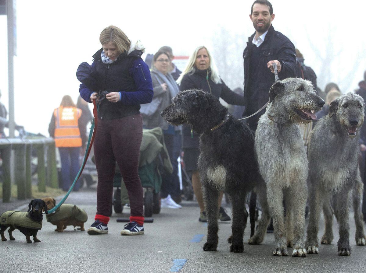 what day is hound day at crufts