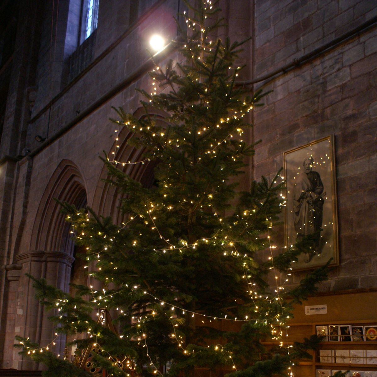 Shrewsbury Tree of Light’s recordbreaking success Shropshire Star