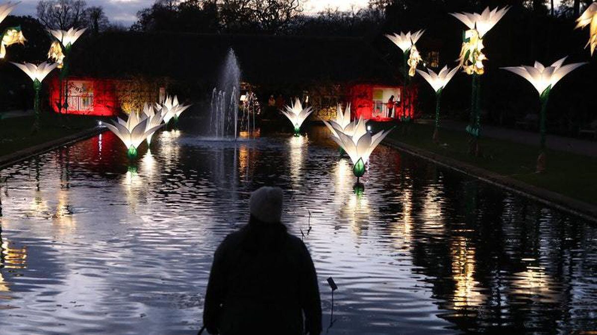In video: RHS Garden Wisley lights shine for Christmas | Shropshire Star