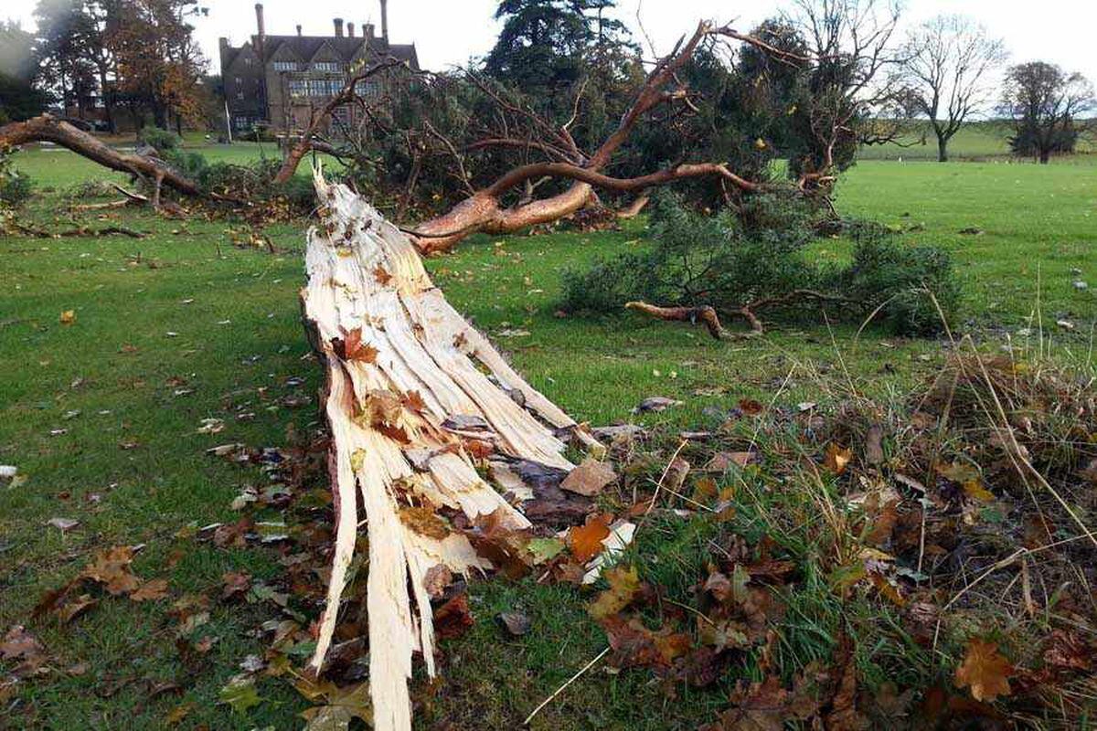 Winds of up to 84mph and 'tornadoes' cause chaos in Shropshire and Mid ...