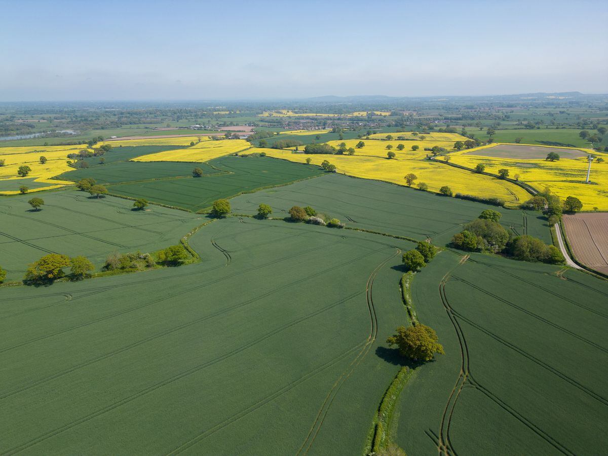 'One of largest agricultural land sales' Shropshire farming estate on