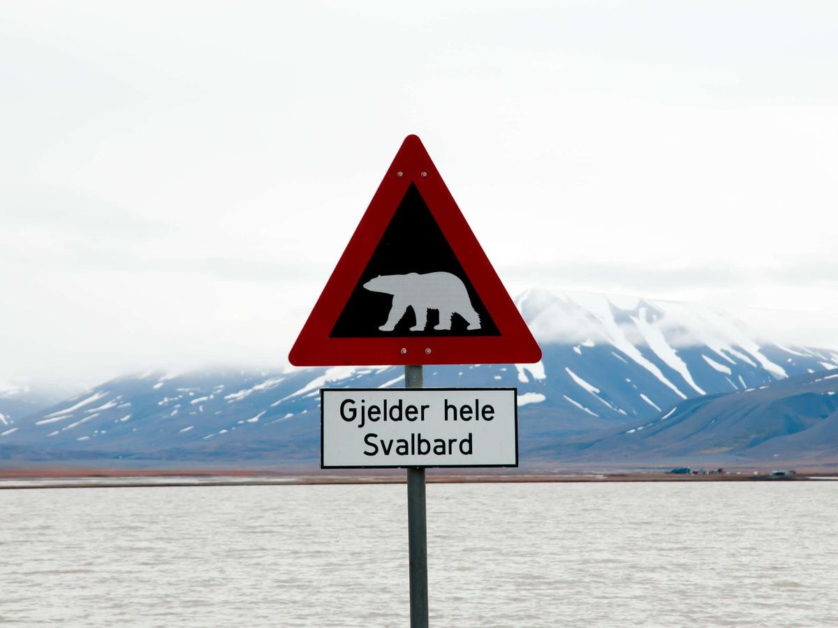 Polar Bear Warning Sign