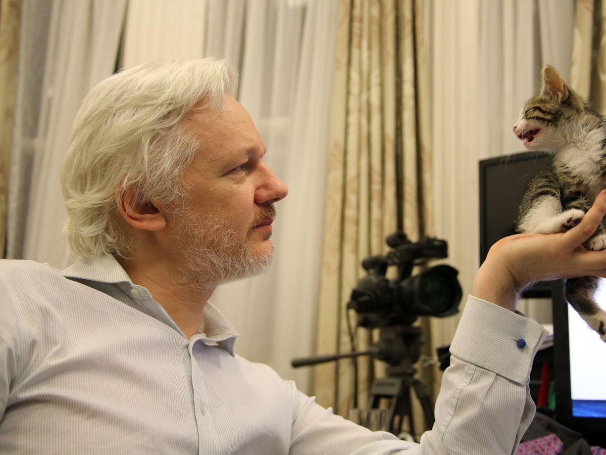 US contacts considered kidnapping or poisoning Assange, court told