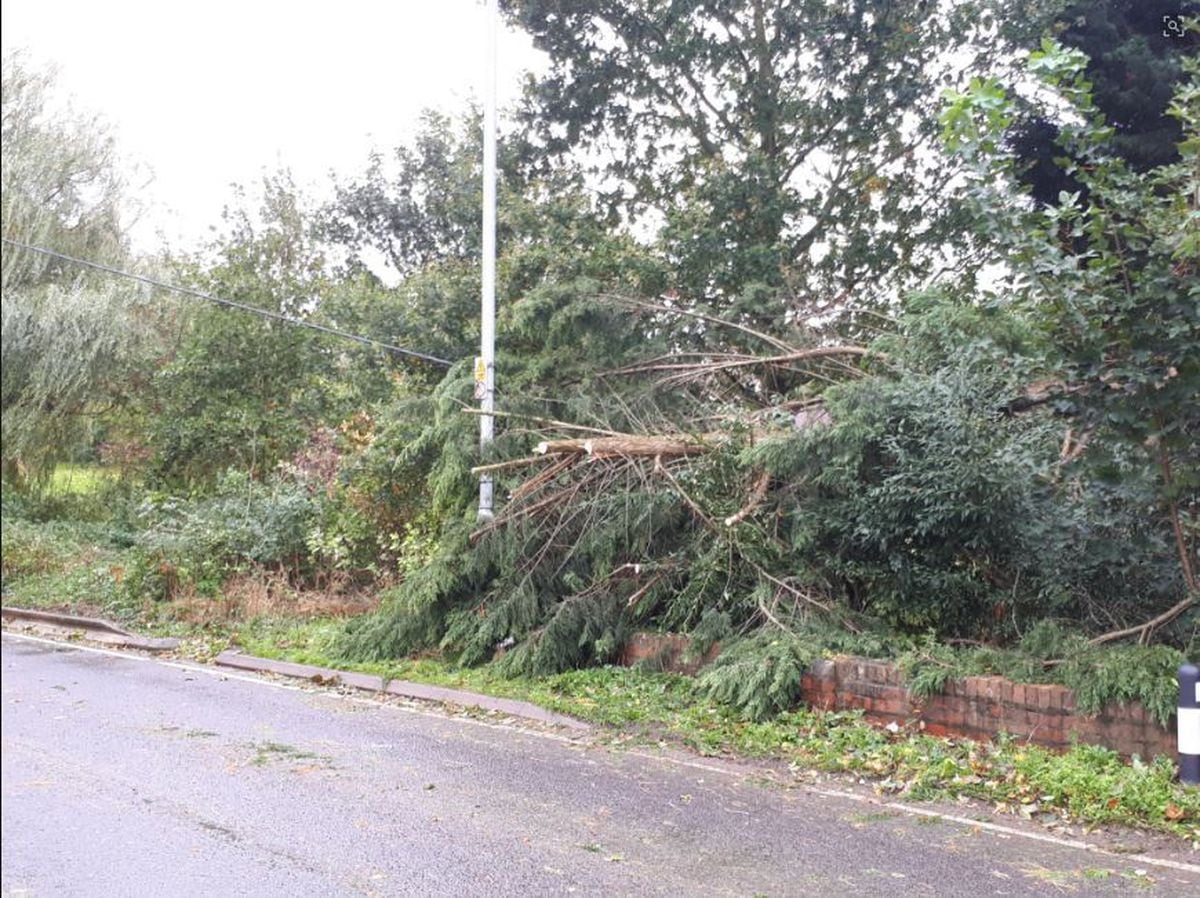 Storm Callum: Trees Down And Trains Cancelled As Shropshire And Mid ...