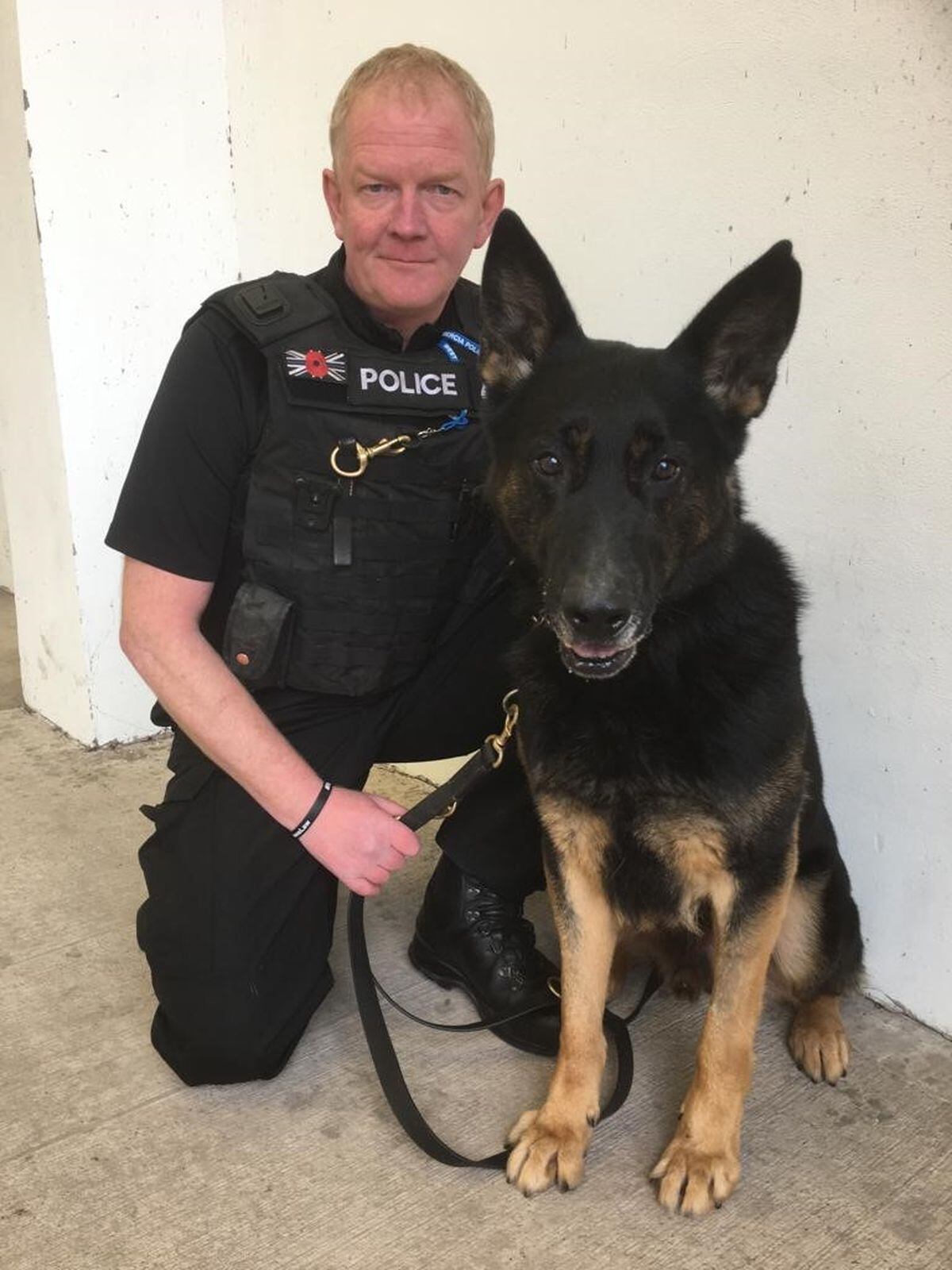 Police dog that ignored knife wounds to secure arrest given bravery ...