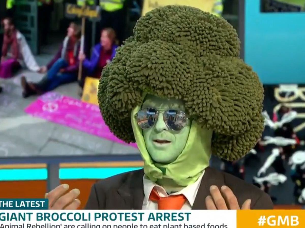 Piers and Susanna boil over as ‘Mr Broccoli’ protester given TV ...