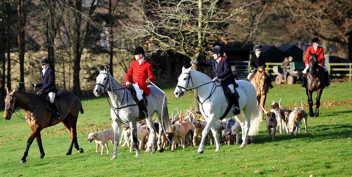 Pictures: Crowds turn out for the Albrighton and Woodland Boxing Day ...