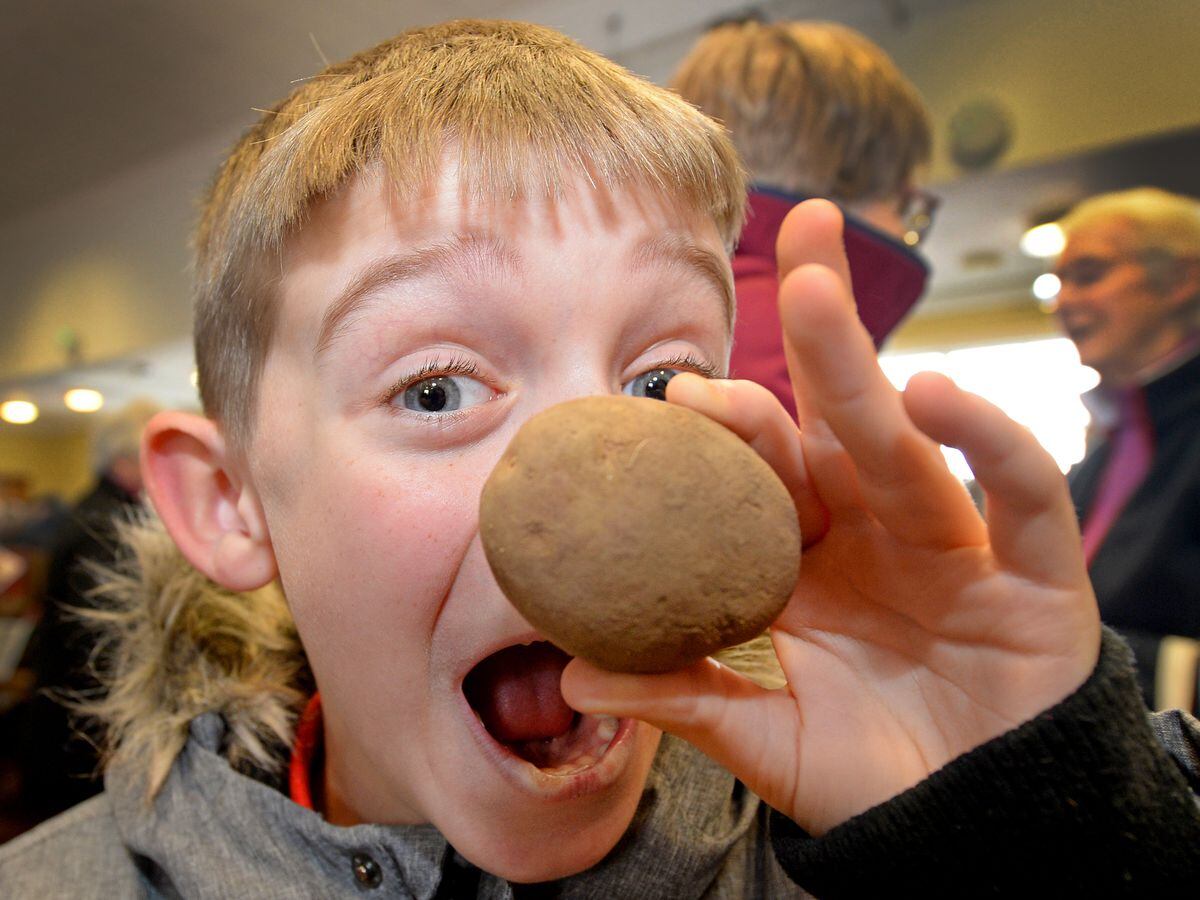 'Spud you believe it?' Hundreds turn out for Shropshire Potato Day