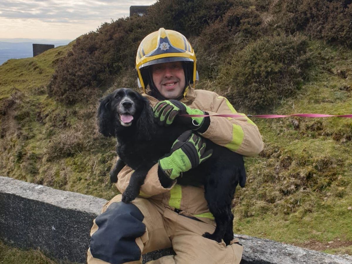 Firefighters Rescue Dog From 20ft Hole | Shropshire Star