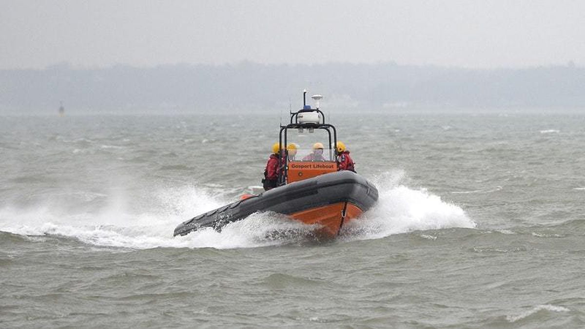 Coastguards rescue dog Nico after 15ft fall onto rocks in North Ayshire ...