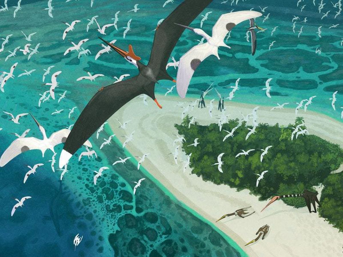 national geographic pterosaurs