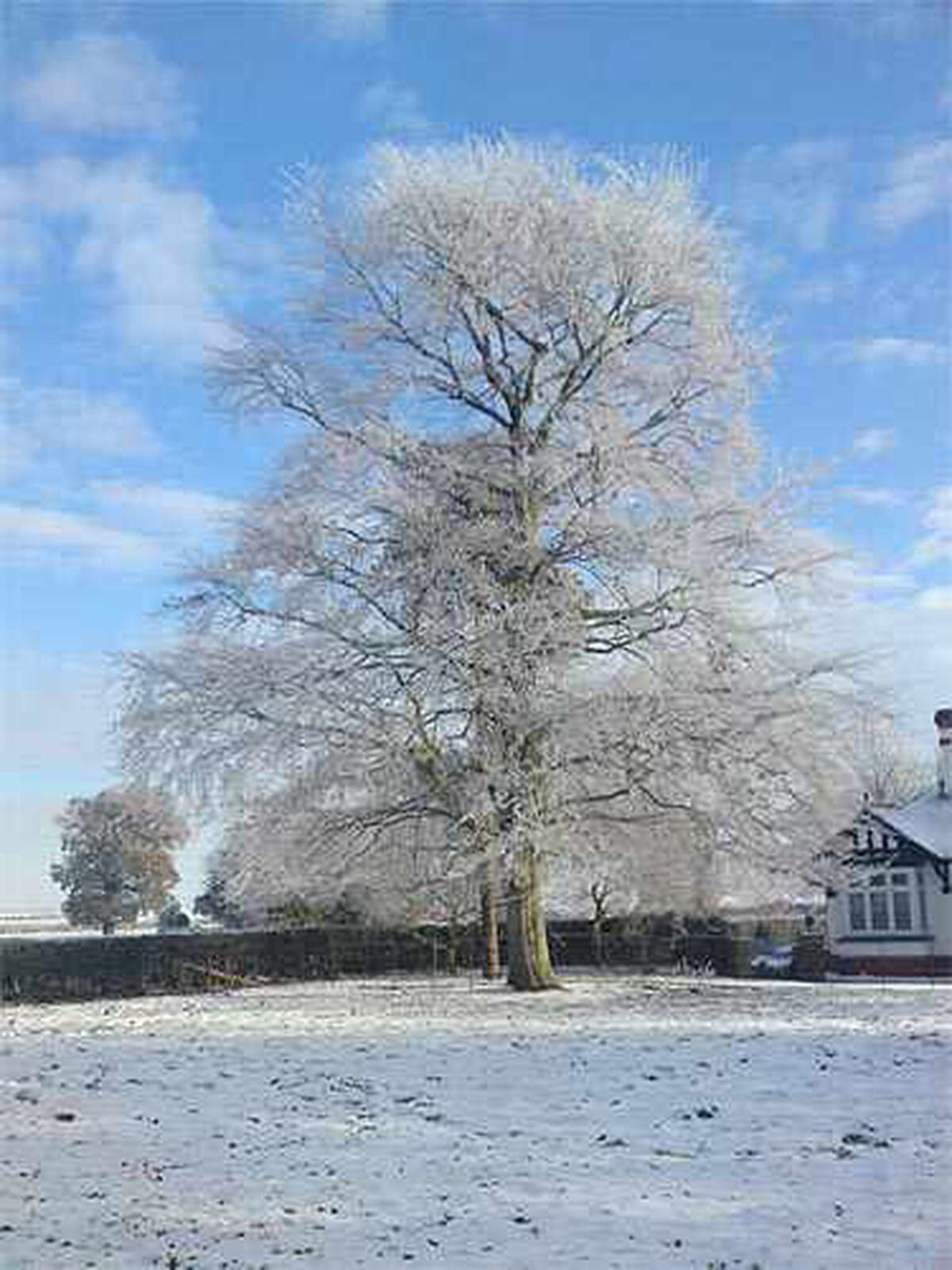 Shropshire scenes of beauty hide icy dangers | Shropshire Star 